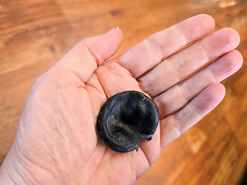 Success starts with a vision, a seed from which the future grows.